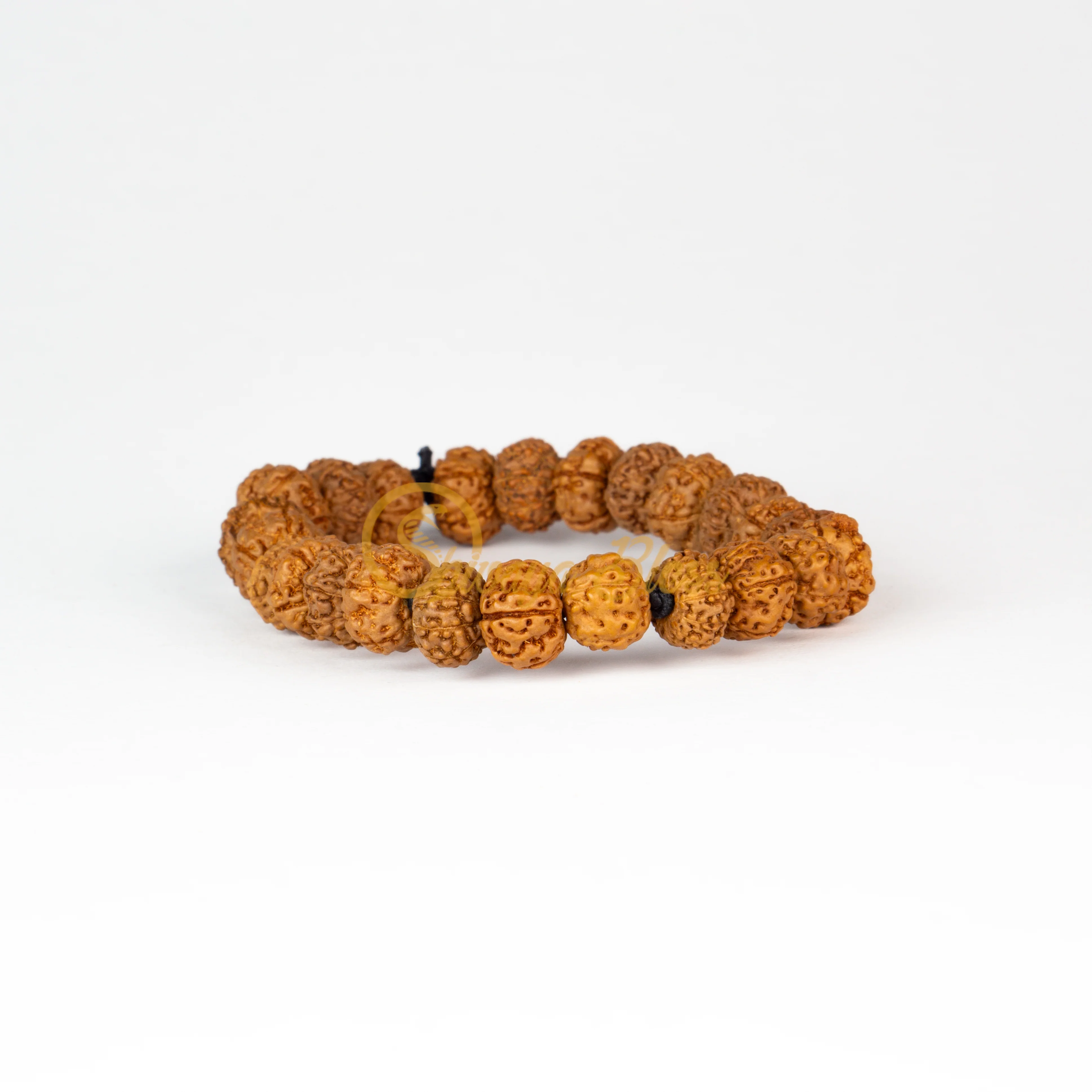 9 Face Rudraksha
